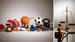 Product_img_Sports Law in 2025_FedBar