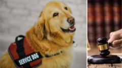 product_img_Service and Emotional Support Animals