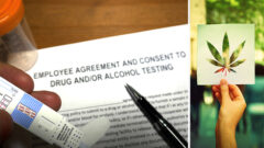 Product_img_Drug Testing and Marijuana_FedBar