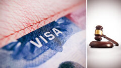 Product_img_Advanced Strategies for Business Immigration